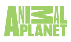 ANIMAL PLANET