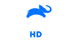 ANIMAL PLANET