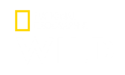NAT.GEO.WILD
