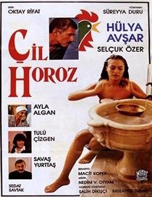 Çil Horoz