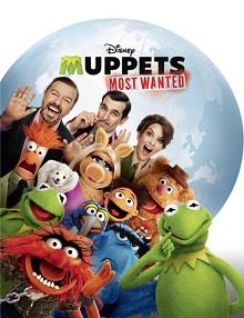 Muppets Aranıyor