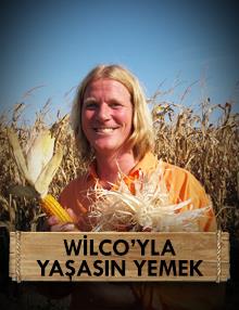 Wilco'yla Yaşasın Yemek