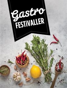 Festival Günlüğü