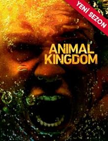 Animal Kingdom