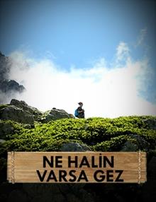 Ne Halin Varsa Gez