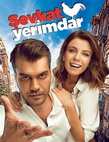 Şevkat Yerimdar
