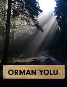 Orman Yolu