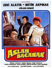 Aslan Bacanak
