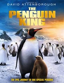 Penguen Kral
