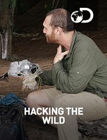 Hacking The Wild : Curse Of The Jungle