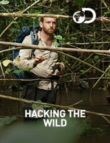 Hacking The Wild - The Black Bayou