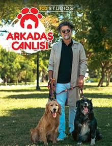 Arkadaş Canlısı - 2.Sezon 6.Bölüm HD İzle