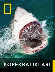 şehirler arası seyahat izni